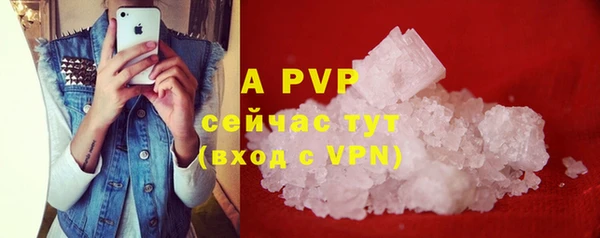 прущие грибы Лихославль