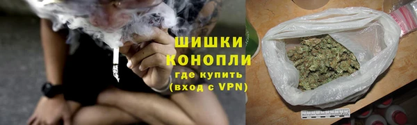 прущие грибы Лихославль