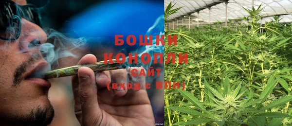 прущие грибы Лихославль