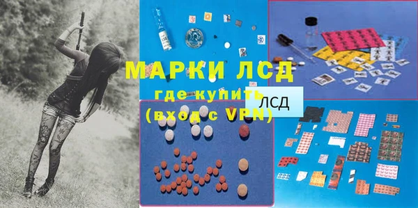 прущие грибы Лихославль