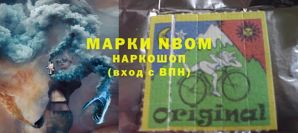 прущие грибы Лихославль