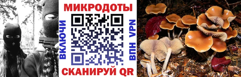 Псилоцибиновые грибы прущие грибы Новый Оскол
